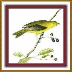 [product_title] - Orenco Originals LLC Counted Cross Stitch
