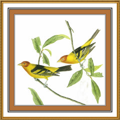 [product_title] - Orenco Originals LLC Counted Cross Stitch