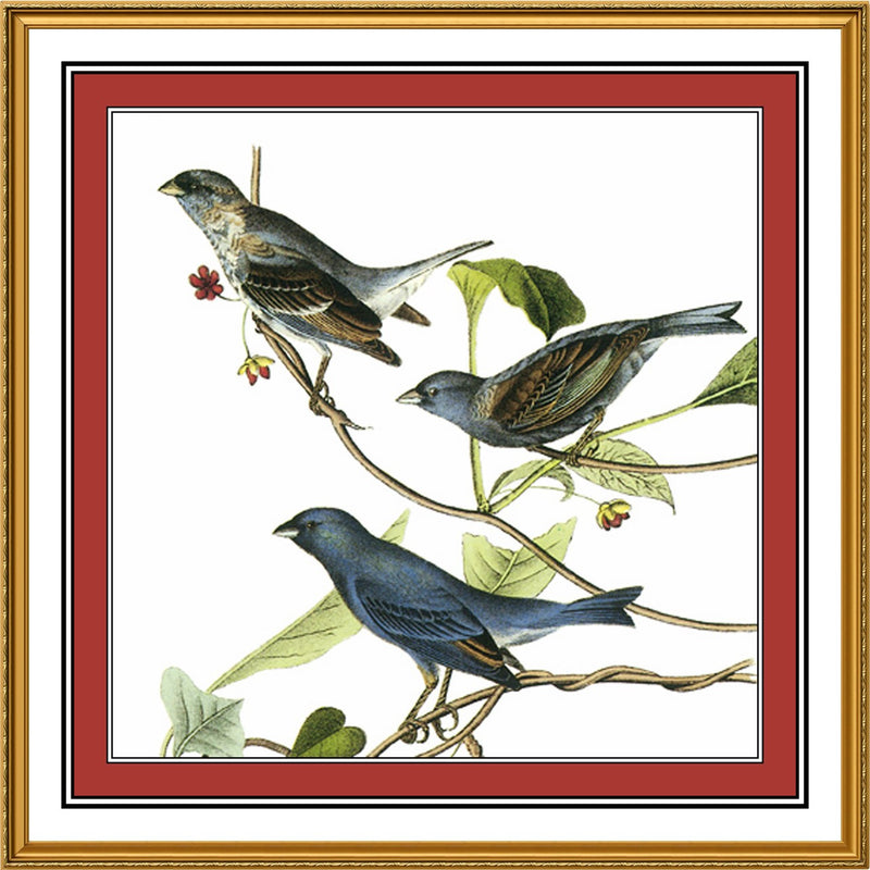 [product_title] - Orenco Originals LLC Counted Cross Stitch