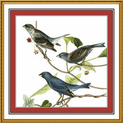 [product_title] - Orenco Originals LLC Counted Cross Stitch