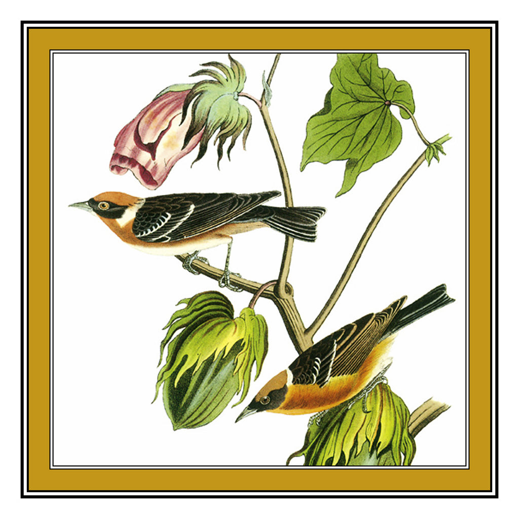 [product_title] - Orenco Originals LLC Counted Cross Stitch