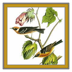 [product_title] - Orenco Originals LLC Counted Cross Stitch