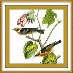 [product_title] - Orenco Originals LLC Counted Cross Stitch
