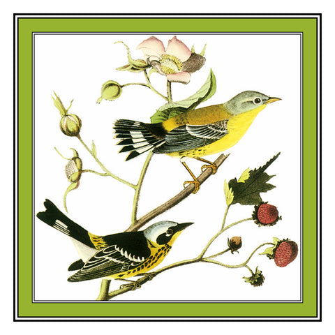Pair of Magnolia Warblers Bird Illustration by John James Audubon Counted Cross Stitch Pattern