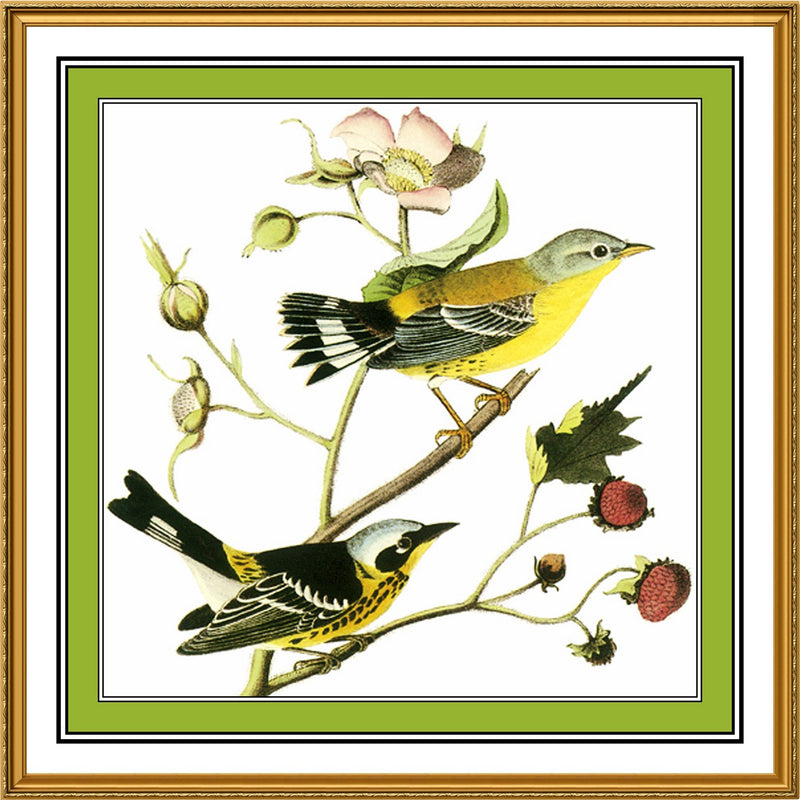 [product_title] - Orenco Originals LLC Counted Cross Stitch