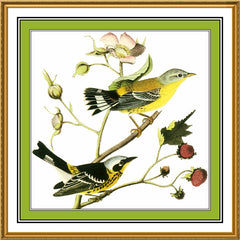 [product_title] - Orenco Originals LLC Counted Cross Stitch