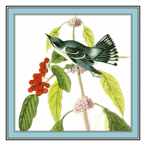 Cerulean Warbler Bird Illustration by John James Audubon Counted Cross Stitch Pattern