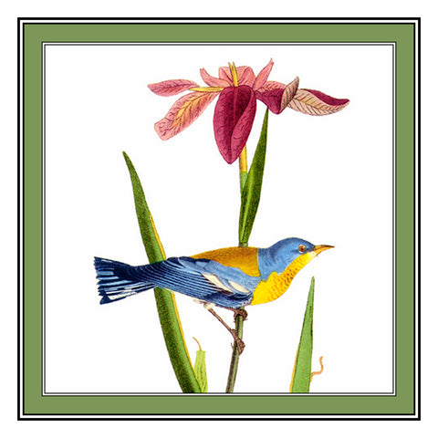 Parula and an Iris Bird Illustration by John James Audubon Counted Cross Stitch Pattern