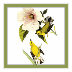 [product_title] - Orenco Originals LLC Counted Cross Stitch