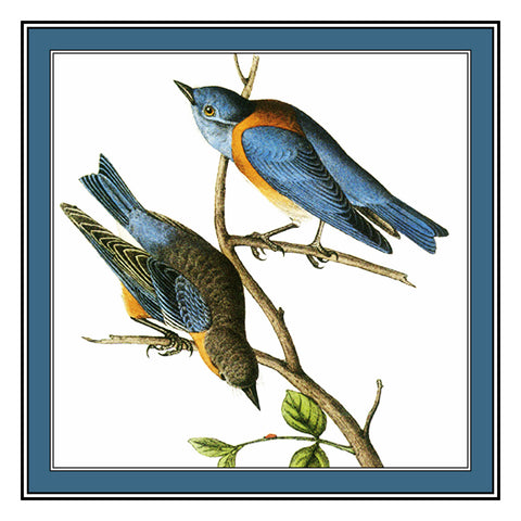 Pair of Bluebirds Bird Illustration by John James Audubon Counted Cross Stitch Pattern
