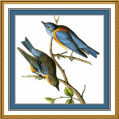 [product_title] - Orenco Originals LLC Counted Cross Stitch