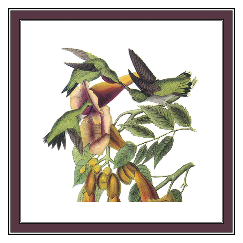 [product_title] - Orenco Originals LLC Counted Cross Stitch