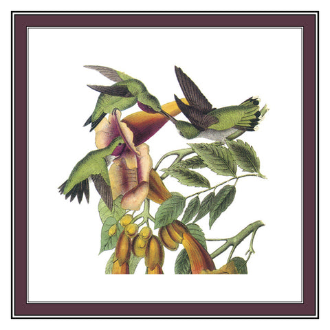 Ruby Necked Hummingbirds Bird Illustration by John James Audubon Counted Cross Stitch Pattern