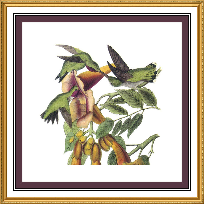 [product_title] - Orenco Originals LLC Counted Cross Stitch