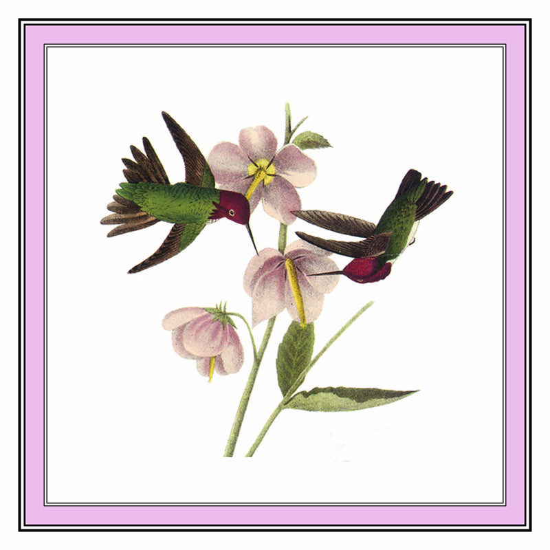 [product_title] - Orenco Originals LLC Counted Cross Stitch