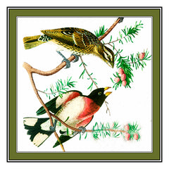 [product_title] - Orenco Originals LLC Counted Cross Stitch