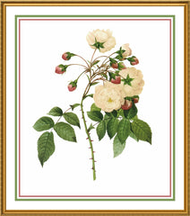 [product_title] - Orenco Originals LLC Counted Cross Stitch