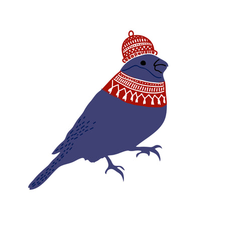 Colorful Contemporary Bird in a  Knit Cap Hand Embroidery Pattern