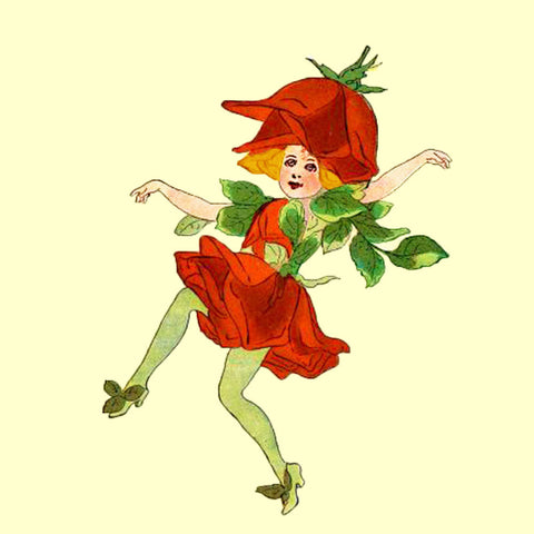 The Jack Rose Flower Fairy by Elizabeth Gordon Counted Cross Stitch Pattern