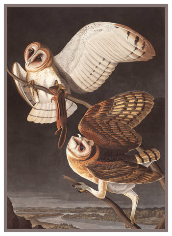 Pair of Barn Owls Bird Illustration by John James Audubon Counted Cross Stitch Pattern