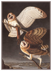 [product_title] - Orenco Originals LLC Counted Cross Stitch