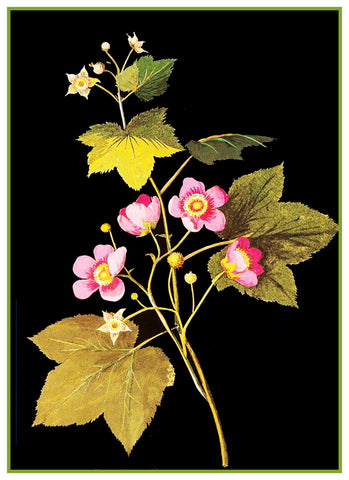 American Raspberry Flowers by Mary Delany Counted Cross Stitch Pattern