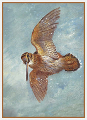[product_title] - Orenco Originals LLC Counted Cross Stitch