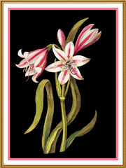 [product_title] - Orenco Originals LLC Counted Cross Stitch