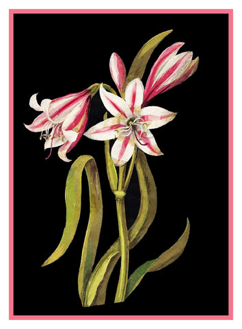 Asphodel Lilly Flowers by Mary Delany Counted Cross Stitch Pattern DIGITAL DOWNLOAD