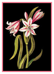 [product_title] - Orenco Originals LLC Counted Cross Stitch