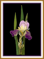 [product_title] - Orenco Originals LLC Counted Cross Stitch