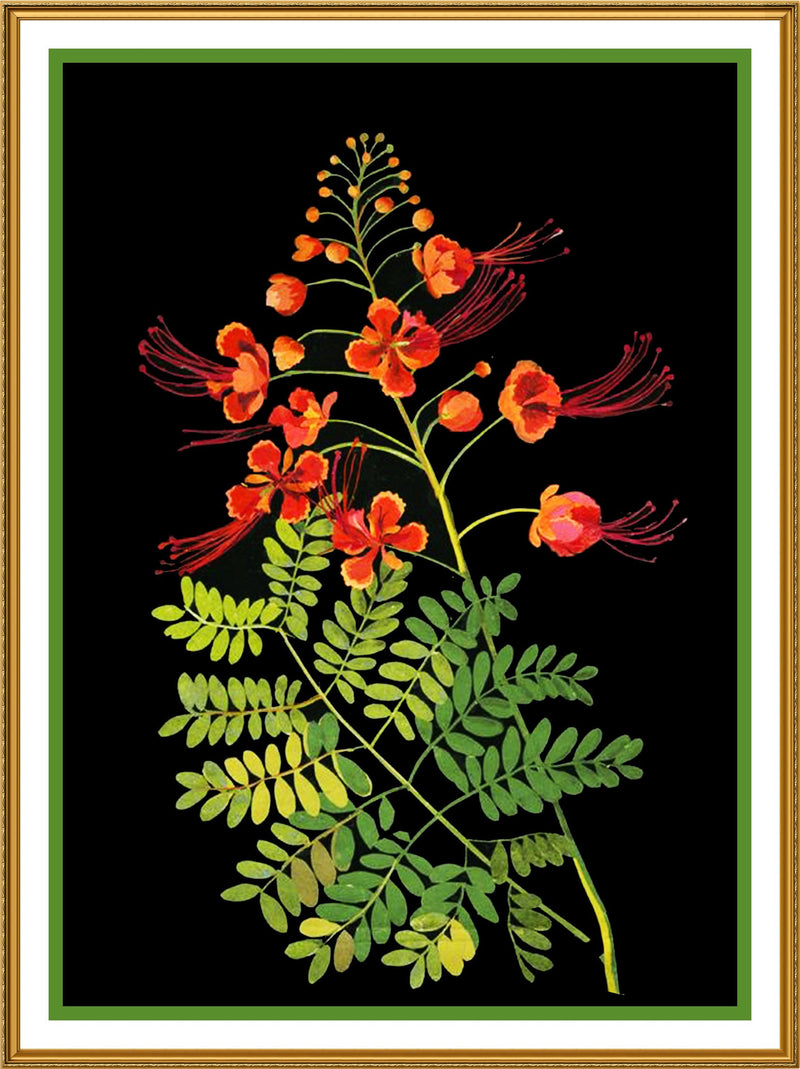 [product_title] - Orenco Originals LLC Counted Cross Stitch