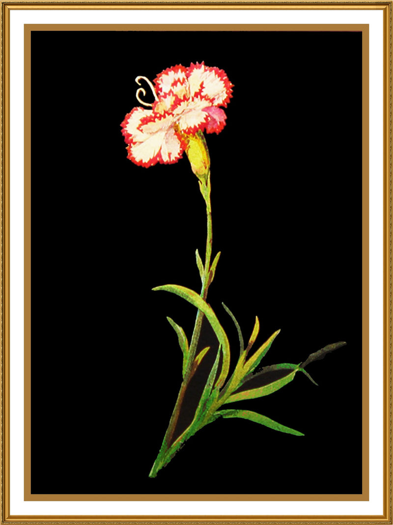 [product_title] - Orenco Originals LLC Counted Cross Stitch
