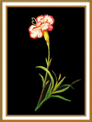 [product_title] - Orenco Originals LLC Counted Cross Stitch