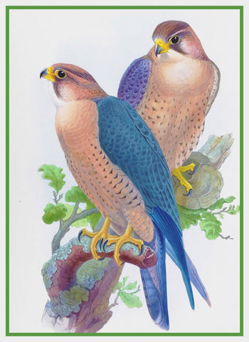 Peregrine Falcon by Naturalist John Gould Birds Counted Cross Stitch Pattern