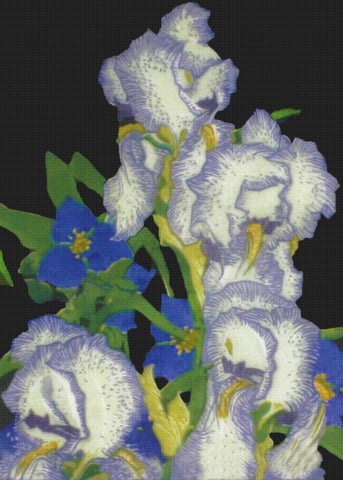 Canadian Group of Seven Franklin Carmichael's Penciled Iris Flowers Canadian Landscape Counted Cross Stitch Pattern