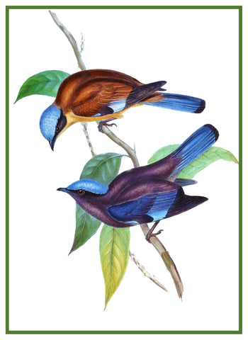 Purple Cochoa by Naturalist John Gould of Birds Counted Cross Stitch Pattern