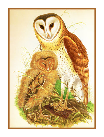 Pair of Grass Owls by Naturalist John Gould of Birds Counted Cross Stitch Pattern