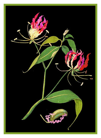 Flame Lily Flowers by Mary Delany Counted Cross Stitch Pattern