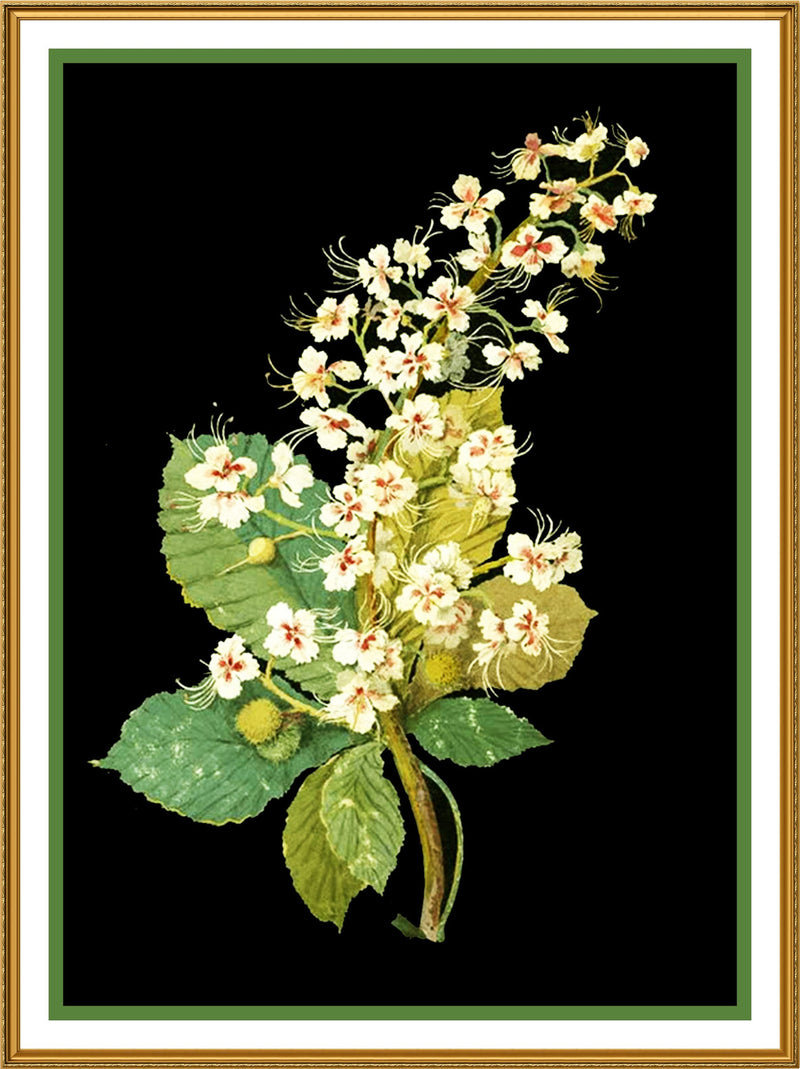 [product_title] - Orenco Originals LLC Counted Cross Stitch