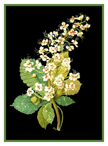Horse Chestnut Blossom Flower by Mary Delany Counted Cross Stitch  Pattern