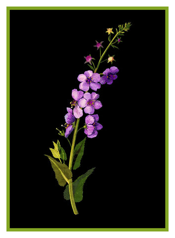 Purple Mullein Flower by Mary Delany Counted Cross Stitch Pattern