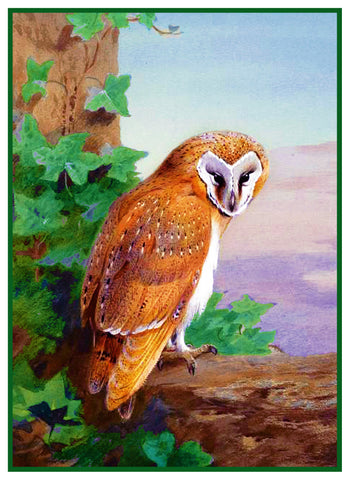 Barn Owl By Naturalist Archibald Thorburn's Bird Counted Cross Stitch Pattern