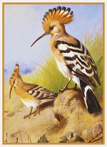 A Pair of Crested Hoopoes by Naturalist John Gould of Birds Counted Cross Stitch Pattern DIGITAL DOWNLOAD