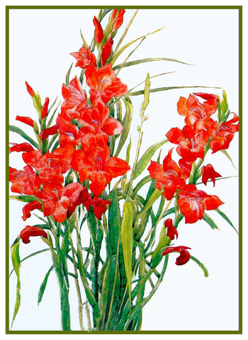 Red Gladiolus Flowers by American artist Charles Demuth Counted Cross Stitch Pattern