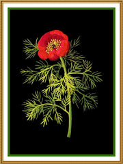 [product_title] - Orenco Originals LLC Counted Cross Stitch