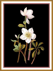 [product_title] - Orenco Originals LLC Counted Cross Stitch