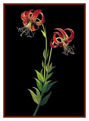 Tiger Lily Flowers by Mary Delany Counted Cross Stitch Pattern