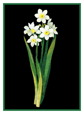Narcissus Flowers by Mary Delany Counted Cross Stitch Pattern