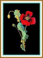 [product_title] - Orenco Originals LLC Counted Cross Stitch